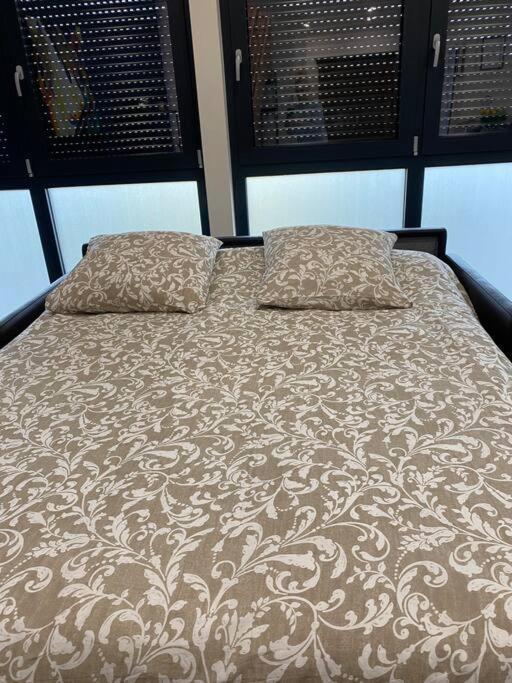 Duplex-by Aurelle 1-wifi-10 Mn Strasbourg Centre-proche Parlement Europeen * Schiltigheim